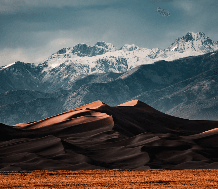 Colorado insurance services