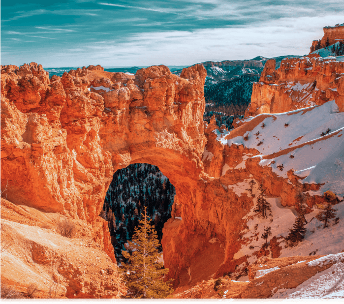 Utah insurance services